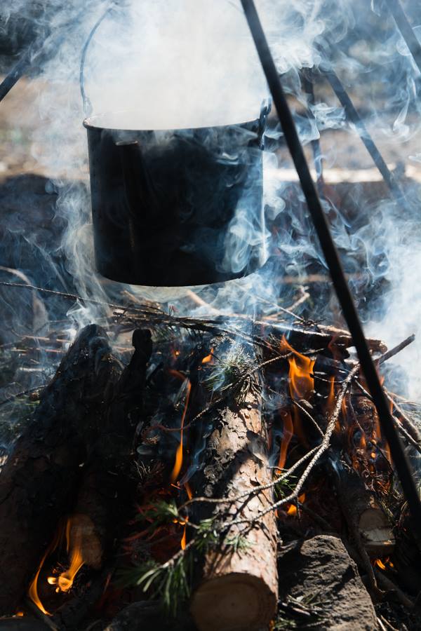 14141973_1165117016878051_4649613136342179976_n