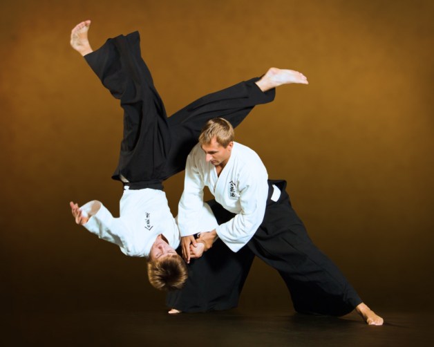aikido-ntgfa-ivashkin